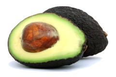Unsafe Foods for Parrots - Avocado