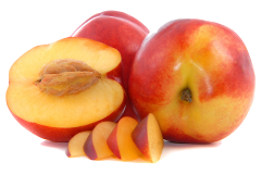 Unsafe Foods for Parrots - Nectarine pips