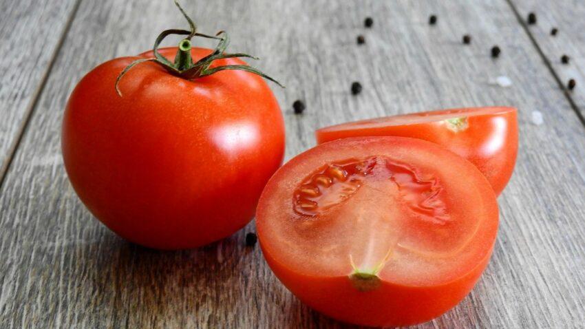 Can Macaws Eat Tomatoes